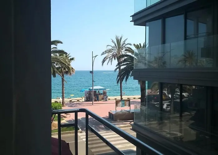Estudio Soleado 1